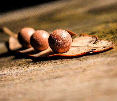 免费电话轰炸软件